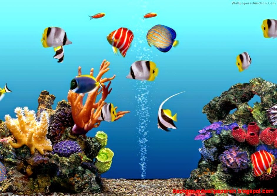 free marine aquarium screensaver download